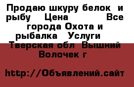 Продаю шкуру белок  и рыбу  › Цена ­ 1 500 - Все города Охота и рыбалка » Услуги   . Тверская обл.,Вышний Волочек г.